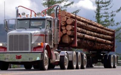 A truck’s loose cargo can be deadly